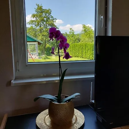 Holiday home La Reina Bihac